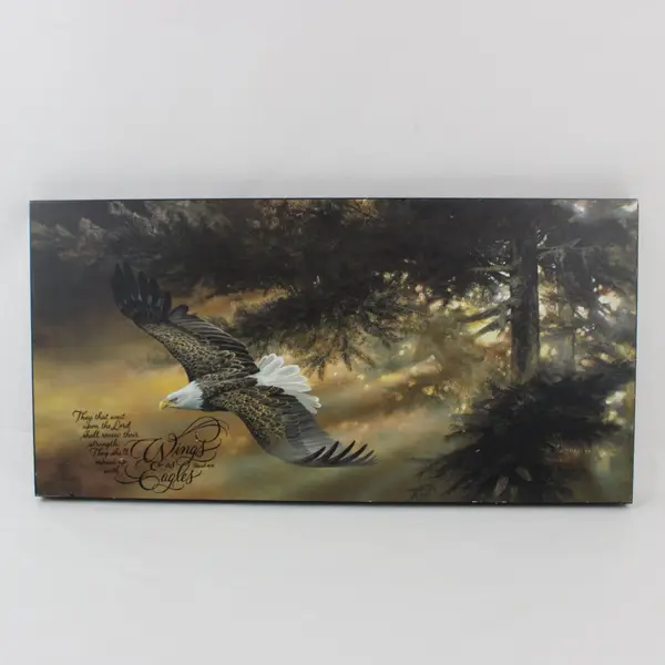 Geisness Painting Wall Plaque Bald Eagle Isaiah 40:31 Scripture 12 x 24 Inch