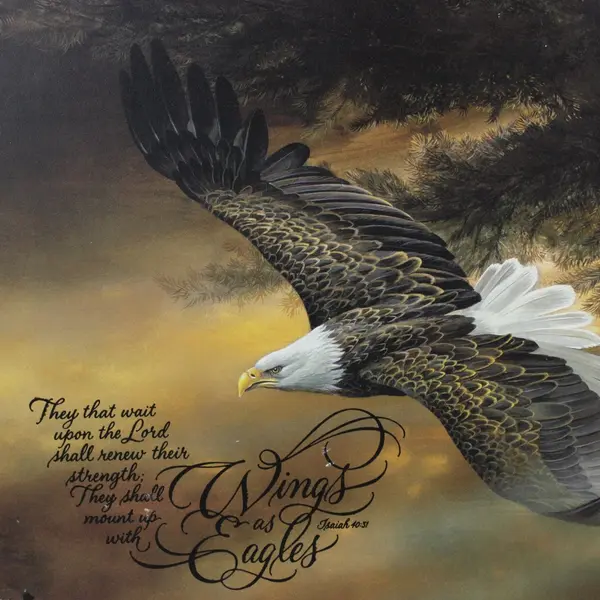 Geisness Painting Wall Plaque Bald Eagle Isaiah 40:31 Scripture 12 x 24 Inch