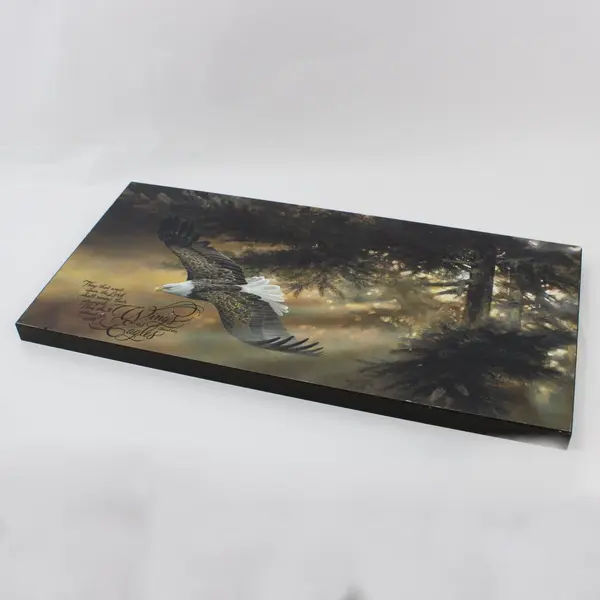 Geisness Painting Wall Plaque Bald Eagle Isaiah 40:31 Scripture 12 x 24 Inch