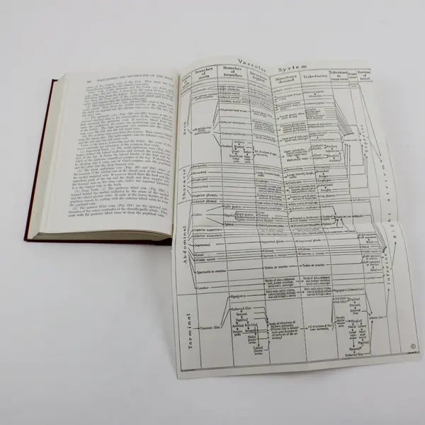 Physiology and Anatomy by Greisheimer 7th Ed Hardcover Textbook 1975