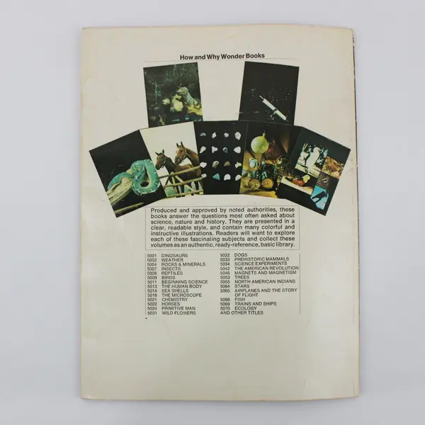 1974 How and Why Wonder Book: Rocks and Minerals Educational Book