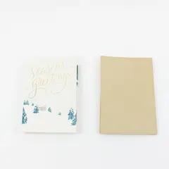 American Greetings Season's Greetings Christmas Cards Set of 12