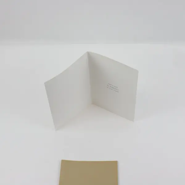 American Greetings Season's Greetings Christmas Cards Set of 12