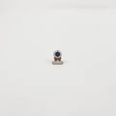 Teamsters Union Retiree Lapel Pin I.B. of T.C.W. & H.O.P.
