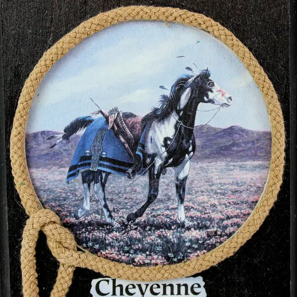 Cheyenne Horse Cowboy Rope Wall Plaque