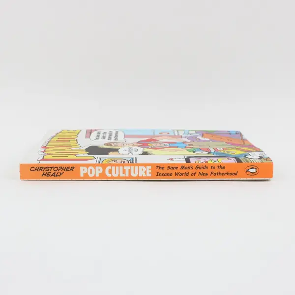 Pop Culture: The Sane Man's Guide to New Fatherhood Paperback Christopher Healy
