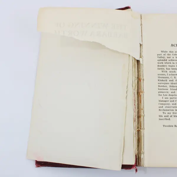 The Winning of Barbara Worth Harold Bell Wright 1911 Cloth HC Antique Copy 