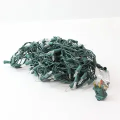 E246482 Unbranded Christmas LED String Lights Clear Bulbs Green Wire 120V Used