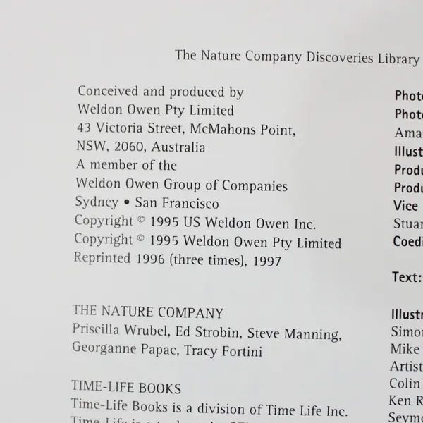 The Nature Company Discoveries Library Under the Sea Ocean Life Book