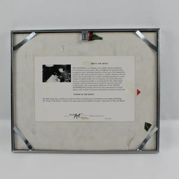 Sue Coleman Power of the Raven Framed Matted Art Print