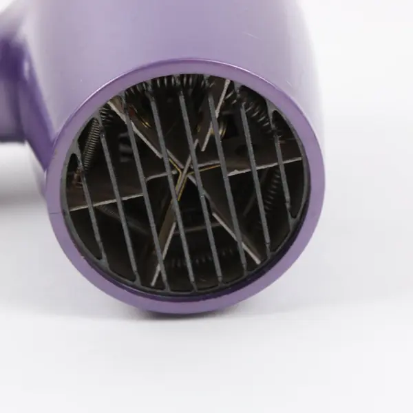 Conair 124LR Dual Voltage Folding Handle Hair Dryer 1875W Purple