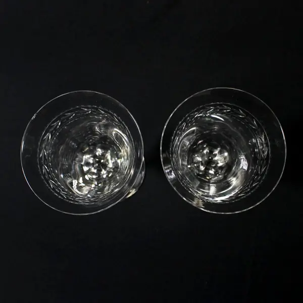  2 Clear Crystal Wine Glasses  2 Dot Bands With A Berry Vine Band In The Center
