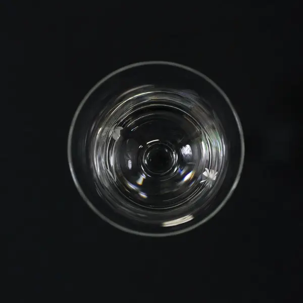 Vintage Colony Glass Sara-Consara  Etched Floral Crystal Wine Glass