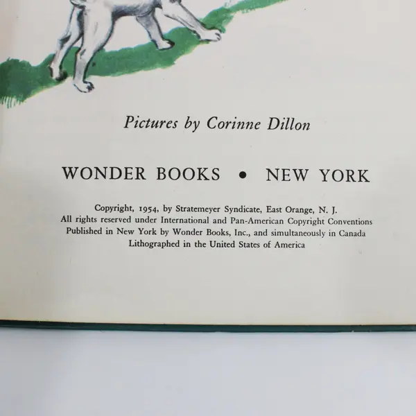 Meet the Bobbsey Twins Wonder Books No 623 Laura Lee Hope Hardcover 1954