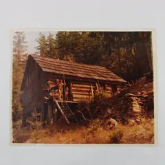 Vintage 1970s Rustic Log Cabin Woodland Photograph Print 8x10