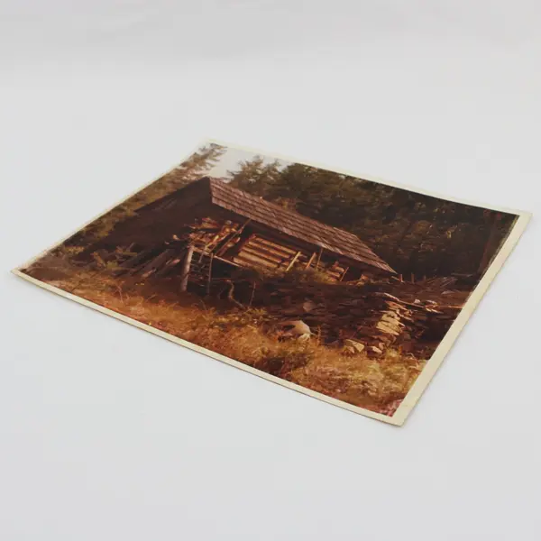 Vintage 1970s Rustic Log Cabin Woodland Photograph Print 8x10