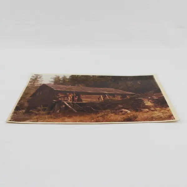 Vintage 1970s Rustic Log Cabin Woodland Photograph Print 8x10