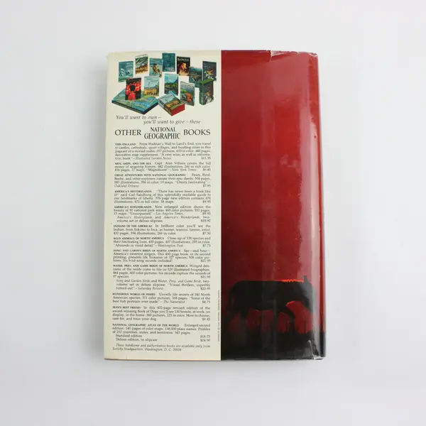 National Geographic Society Everyday Life in Bible Times Hardcover