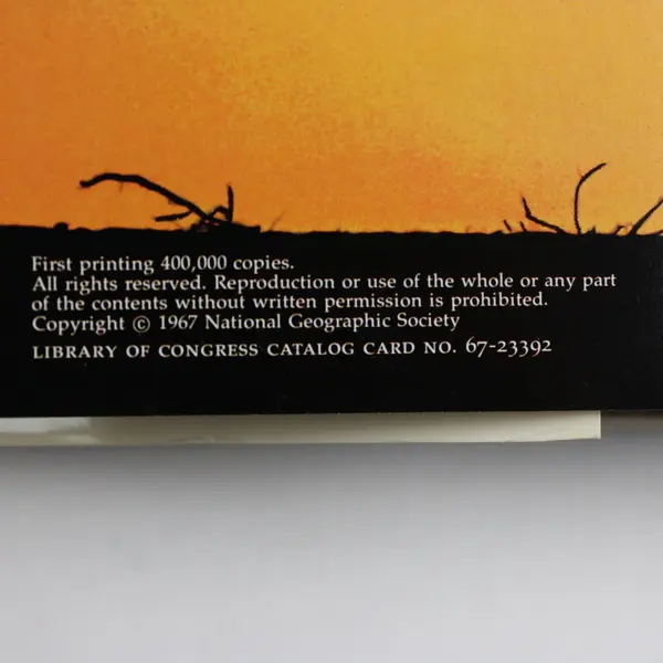 National Geographic Society Everyday Life in Bible Times Hardcover