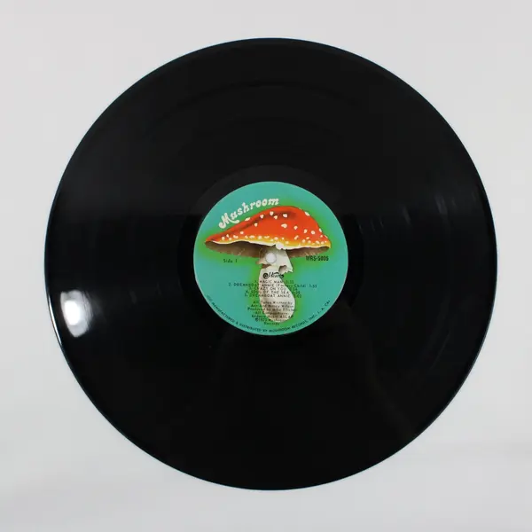 Heart Dreamboat Annie 1976 12" Vinyl Record Mushroom Records MRS-5005