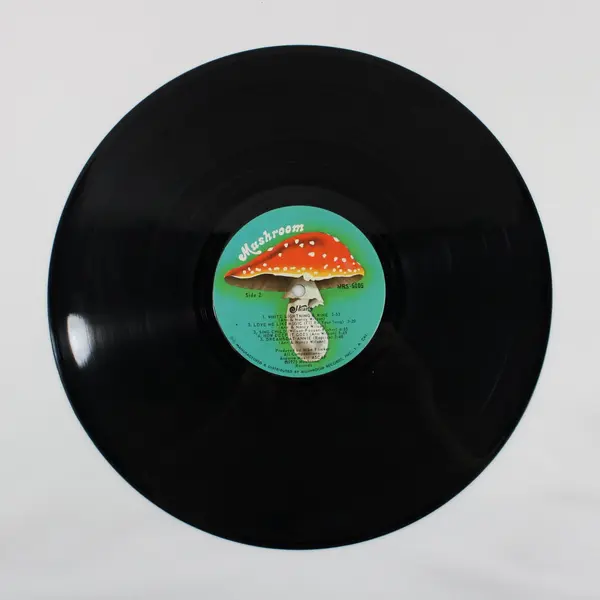 Heart Dreamboat Annie 1976 12" Vinyl Record Mushroom Records MRS-5005