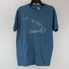 Home Free Blue Hawaii Men's Medium T-Shirt 38/40 Short Sleeve