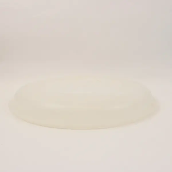Tupperware Divided Serving Center Tray Blue Base Frosted Lid