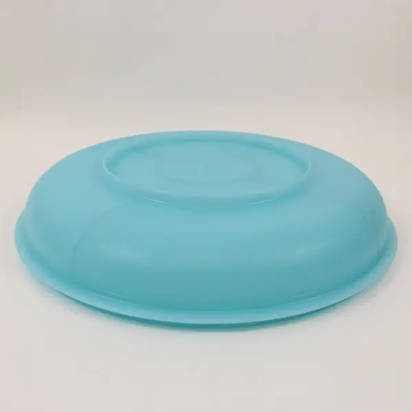 Tupperware Divided Serving Center Tray Blue Base Frosted Lid