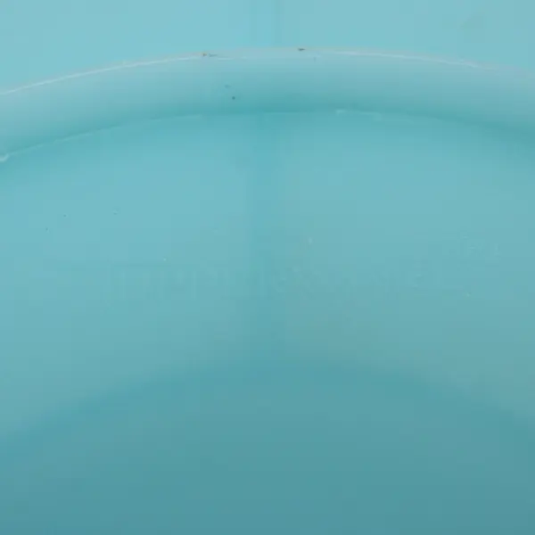Tupperware Divided Serving Center Tray Blue Base Frosted Lid
