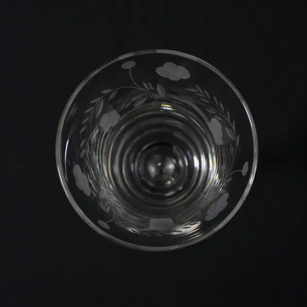 Vintage Rock Sharpe Halifax Crystal Water Goblet 8" Etched Floral Chip