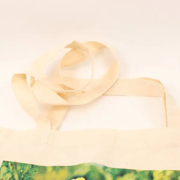 Tulips From Amsterdam Cotton Tote Bag Reusable Floral Tulip Shopping Bag
