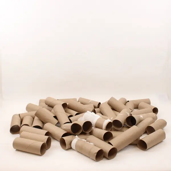 Lot of 51 Empty Toilet Paper Cardboard Rolls DIY Crafts School Projects
