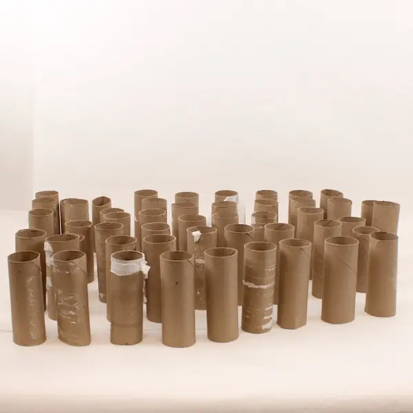Lot of 51 Empty Toilet Paper Cardboard Rolls DIY Crafts School Projects