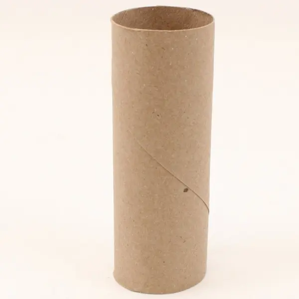 Lot of 51 Empty Toilet Paper Cardboard Rolls DIY Crafts School Projects