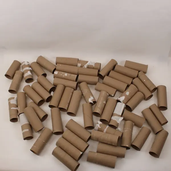 Lot of 53 Empty Toilet Paper Cardboard Rolls DIY Crafts School Projects
