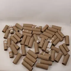 Lot of 53 Empty Toilet Paper Cardboard Rolls DIY Crafts School Projects