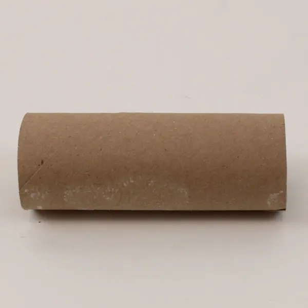 Lot of 53 Empty Toilet Paper Cardboard Rolls DIY Crafts School Projects