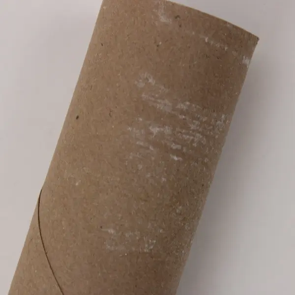 Lot of 53 Empty Toilet Paper Cardboard Rolls DIY Crafts School Projects