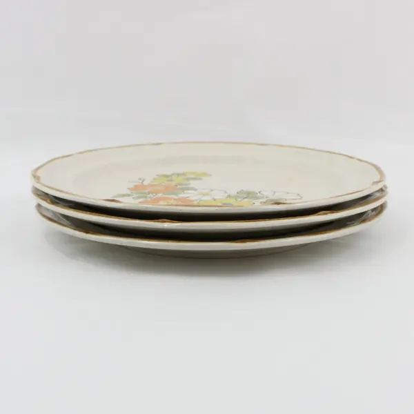 Set of 3 Hearthside Spring Garden Baroque Dinner Plates Japan 10.5"