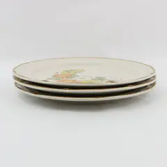 Set of 3 Hearthside Spring Garden Baroque Dinner Plates Japan 10.5"