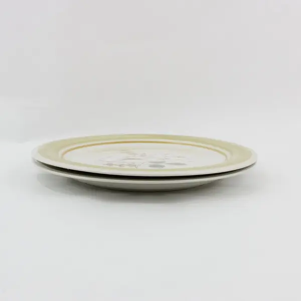 Set of 2 Impressions by Daniele Country Day Stoneware Dinner Plates Japan