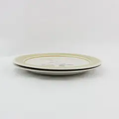 Set of 2 Impressions by Daniele Country Day Stoneware Dinner Plates Japan