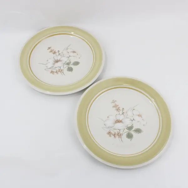 Set of 2 Impressions by Daniele Country Day Stoneware Dinner Plates Japan