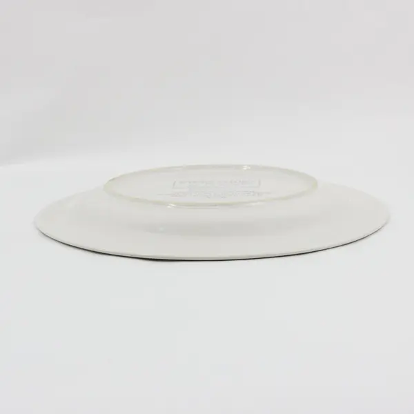 Set of 2 Impressions by Daniele Country Day Stoneware Dinner Plates Japan