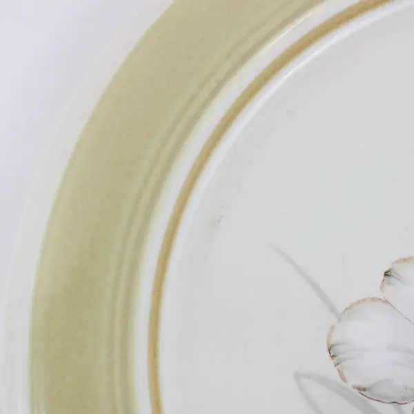 Set of 2 Impressions by Daniele Country Day Stoneware Dinner Plates Japan