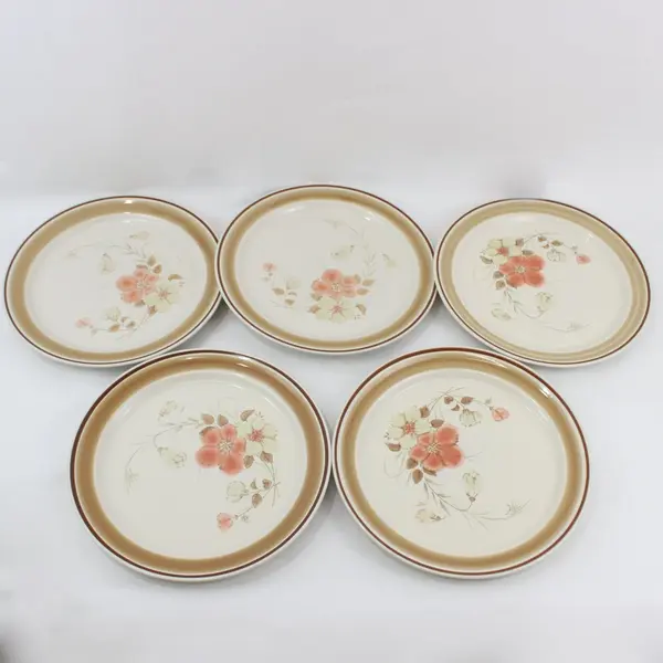 Set of 5 Hearthside Water Colors Blush Dinner Plates  10.5" Japan