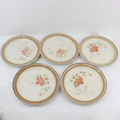 Set of 5 Hearthside Water Colors Blush Dinner Plates  10.5" Japan