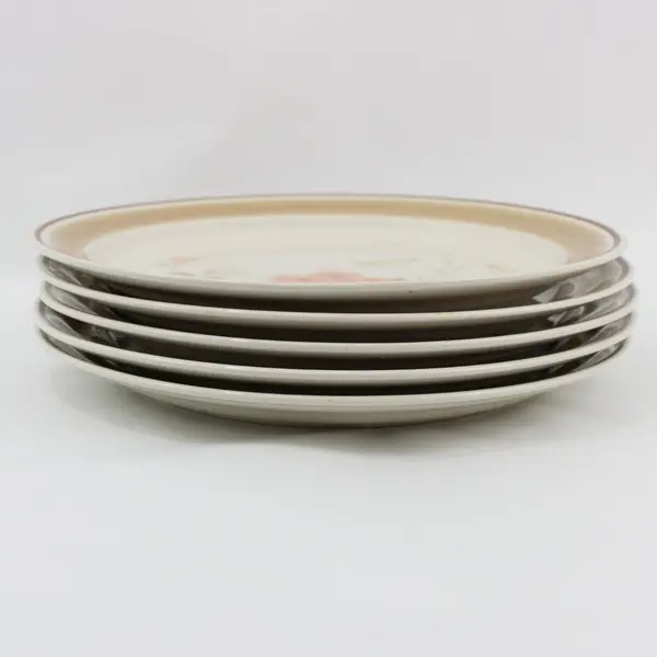 Set of 5 Hearthside Water Colors Blush Dinner Plates  10.5" Japan