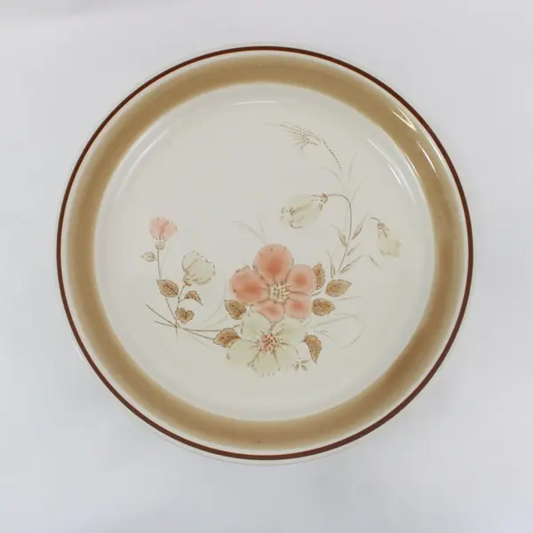 Set of 5 Hearthside Water Colors Blush Dinner Plates  10.5" Japan