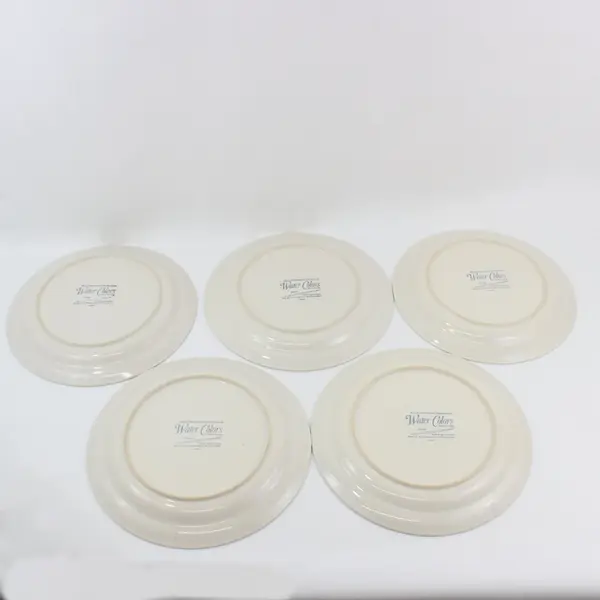 Set of 5 Hearthside Water Colors Blush Dinner Plates  10.5" Japan